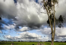 勒布朗补篮绝杀！湖人客胜步行者 东契奇34+7+7.